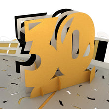 Load image into Gallery viewer, 30th Celebration