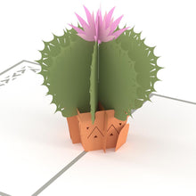 Load image into Gallery viewer, Barrel Cactus