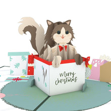 Load image into Gallery viewer, Advent Calendar 24 Pack
