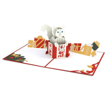 Load image into Gallery viewer, FALSE