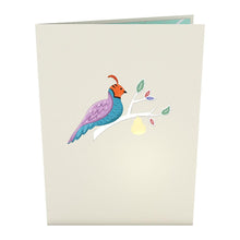 Load image into Gallery viewer, 12 Days of Christmas Pack