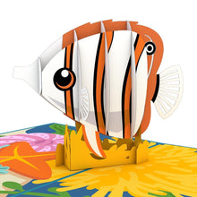 Load image into Gallery viewer, Copperband Butterflyfish