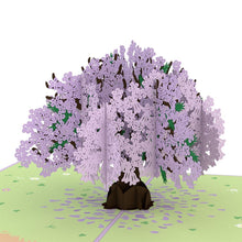 Load image into Gallery viewer, Jacaranda Tree