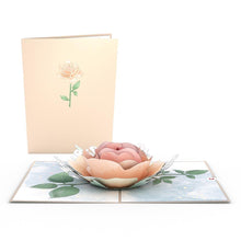 Load image into Gallery viewer, Floral 12 Pack