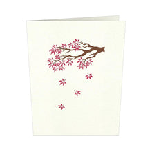 Load image into Gallery viewer, Japanese Maple Notecards (4-Pack)