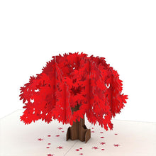 Load image into Gallery viewer, Japanese Maple Notecards (4-Pack)