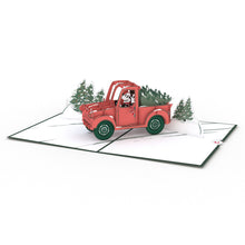 Load image into Gallery viewer, FALSE