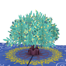 Load image into Gallery viewer, Olive Tree