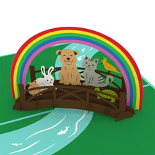 Load image into Gallery viewer, Rainbow Bridge
