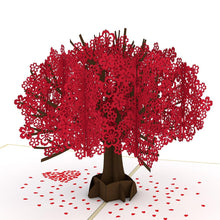 Load image into Gallery viewer, Red Sakura Tree