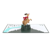 Load image into Gallery viewer, FALSE