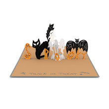 Load image into Gallery viewer, FALSE