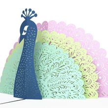 Load image into Gallery viewer, Peacock
