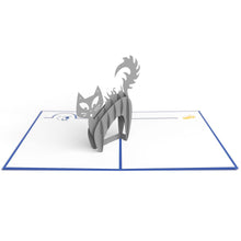 Load image into Gallery viewer, FALSE