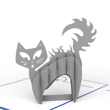 Load image into Gallery viewer, Scaredy Cat