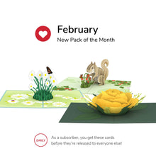 Load image into Gallery viewer, Pack of the Month - Favorites
