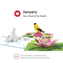 Load image into Gallery viewer, Pack of the Month - Favorites
