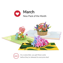 Load image into Gallery viewer, Pack of the Month - Favorites
