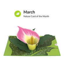 Load image into Gallery viewer, Card of the Month - Nature
