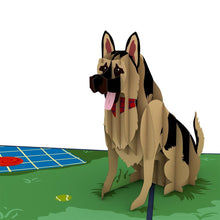 Load image into Gallery viewer, German Shepherd
