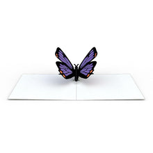 Load image into Gallery viewer, Butterfly Notecards (Assorted 4-Pack)
