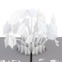 Load image into Gallery viewer, Graduation Hats White
