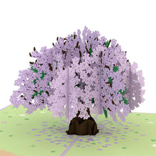 Load image into Gallery viewer, Mother&#39;s Day Jacaranda Tree
