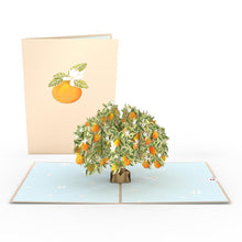 Load image into Gallery viewer, Garden 12 Pack
