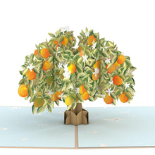 Load image into Gallery viewer, Orange Blossom Tree
