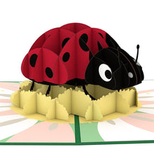Load image into Gallery viewer, Ladybug

