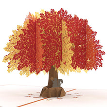 Load image into Gallery viewer, Oak Tree Classic
