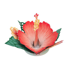 Load image into Gallery viewer, Stickerpop™: Hibiscus Bloom (5 Pack)
