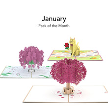 Load image into Gallery viewer, Pack of the Month - Favorites
