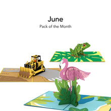 Load image into Gallery viewer, Pack of the Month - Favorites
