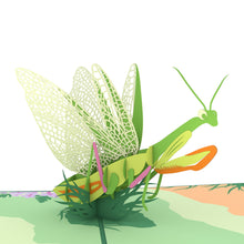 Load image into Gallery viewer, Praying Mantis
