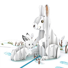 Load image into Gallery viewer, Snowshoe Hares
