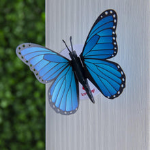Load image into Gallery viewer, Stickerpop™: Blue Morpho Butterfly (1 Pack)
