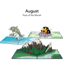 Load image into Gallery viewer, Pack of the Month - Favorites
