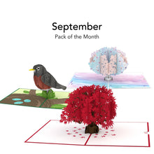 Load image into Gallery viewer, Pack of the Month - Favorites
